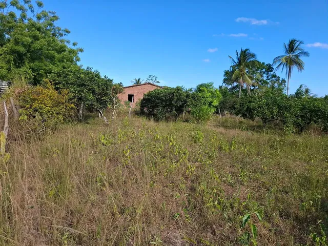 Imagem 3: Vende-Se Sitio com Casa 160,00
