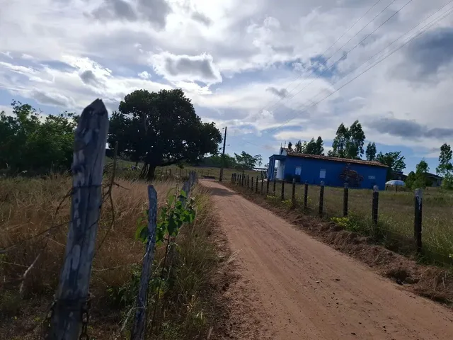 Imagem 4: Vende-Se Sitio com Casa 160,00