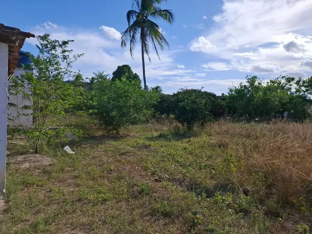 Imagem 5: Vende-Se Sitio com Casa 160,00