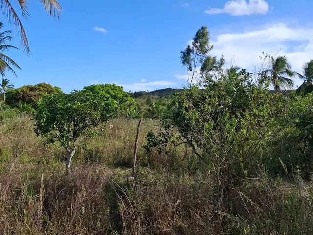 Imagem 15: Vende-Se Sitio com Casa 160,00