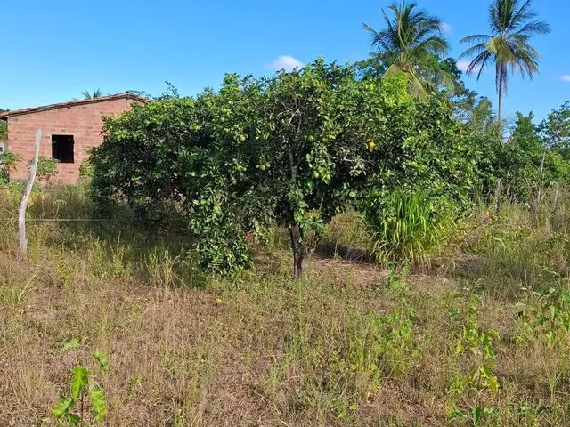 Imagem 16: Vende-Se Sitio com Casa 160,00