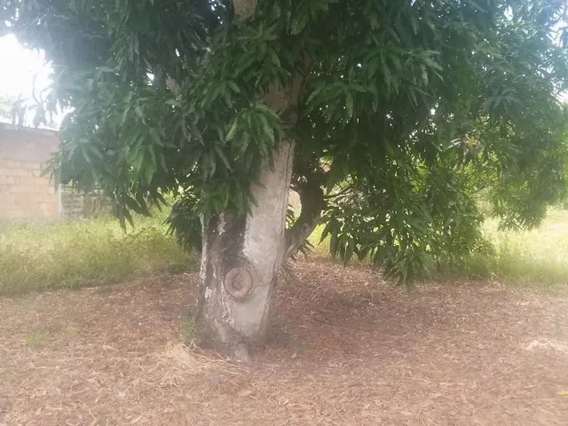 Imagem 9: Ótima Oportunidade