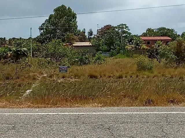 Imagem 5: Terreno Próximo a Lagoa dos Tambaquis