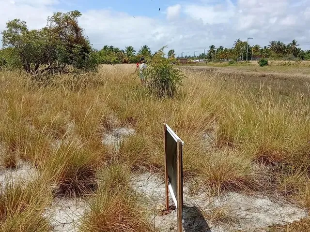 Imagem 6: Terreno Próximo a Lagoa dos Tambaquis