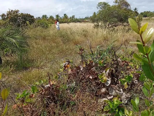 Imagem 7: Terreno Próximo a Lagoa dos Tambaquis