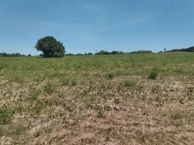 Imagem 3: Fazenda, Propriedade, Sitio, Chácara, Terreno, Área Territorial