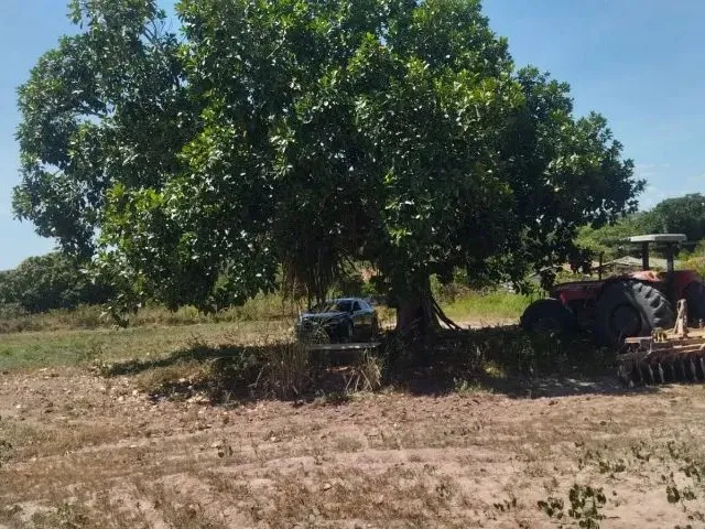 Imagem 11: Fazenda, Propriedade, Sitio, Chácara, Terreno, Área Territorial