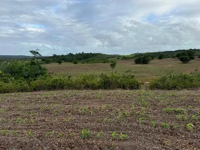 Imagem 12: Fazenda, Propriedade, Sitio, Chácara, Terreno, Área Territorial