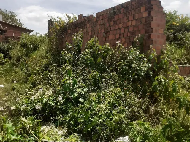 Imagem: Vendo Este Terreno Localizado em Umbaúba