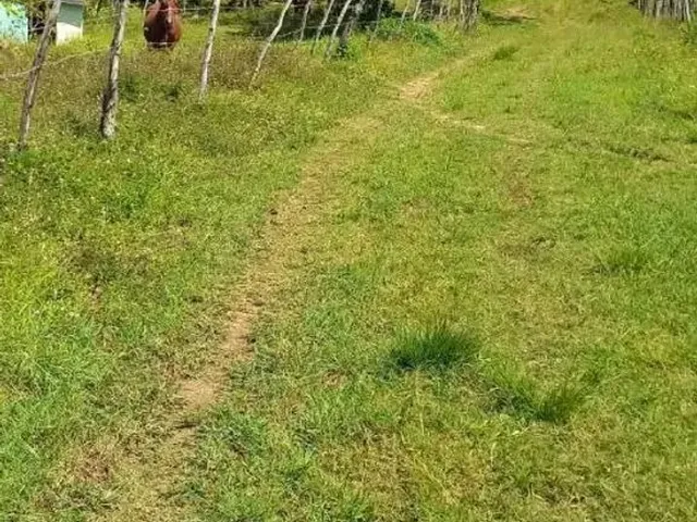 Imagem: Vendo o Troco Terreno