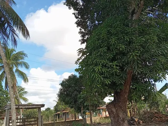 Imagem: A chácara possui 4 Dormitórios, 1 Suíte, 18.000m² de