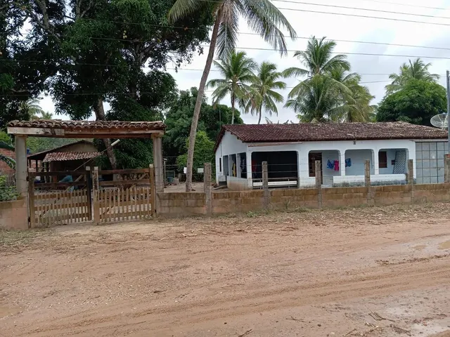 Imagem 6: Sítio para Vender ( Povoado Baixa de Areia)