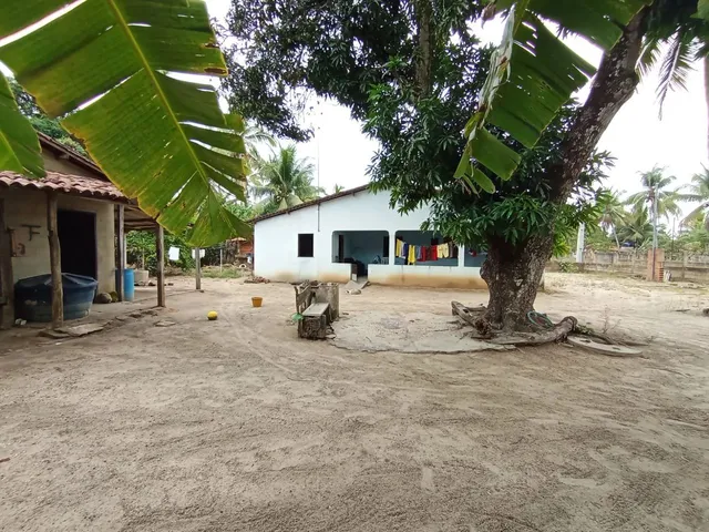 Imagem 7: Sítio para Vender ( Povoado Baixa de Areia)