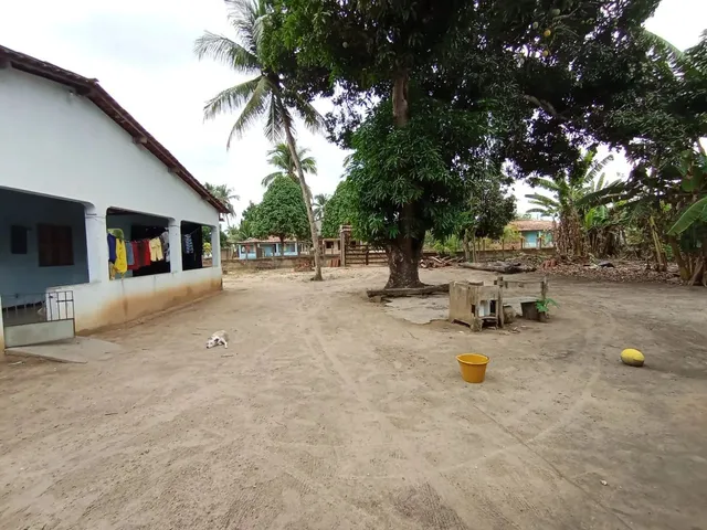 Imagem 11: Sítio para Vender ( Povoado Baixa de Areia)