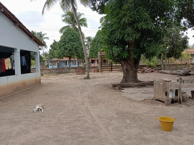 Imagem 13: Sítio para Vender ( Povoado Baixa de Areia)