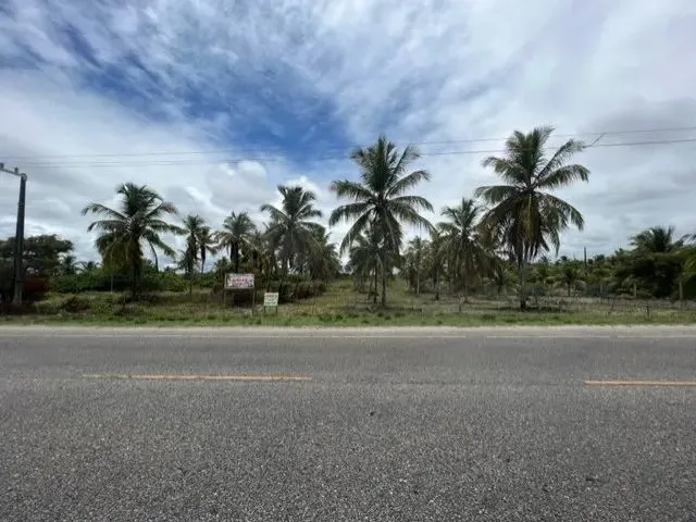 Imagem: Vendo Área a 3Km do Porto de Sergipe (