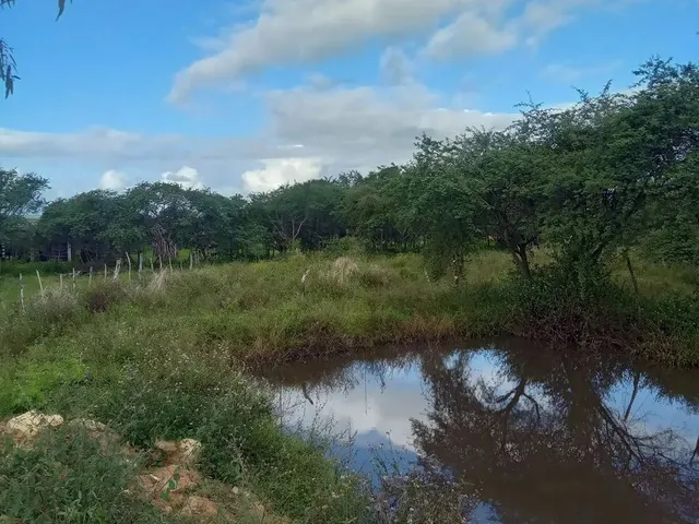 Imagem 2: Sitio em Lagarto com 3 Tarefa de Terra