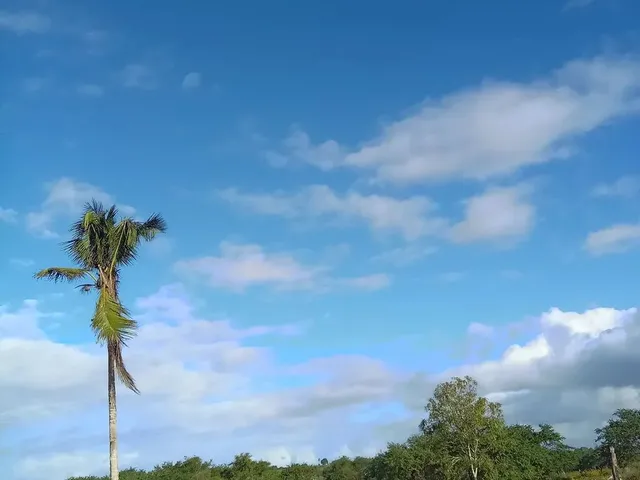 Imagem 4: Sitio em Lagarto com 3 Tarefa de Terra
