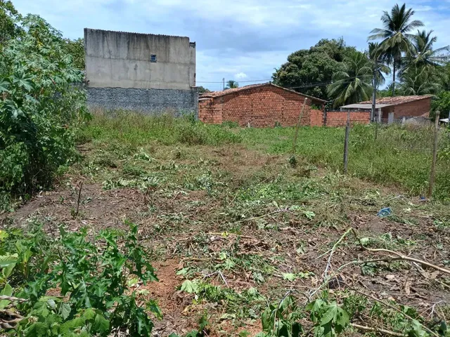 Imagem 1: Terreno a Venda Terreno / lote com venda por R$22.000