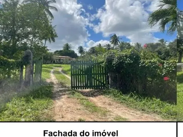 Imagem: Vendo Sítio no Povoado da Chica em São