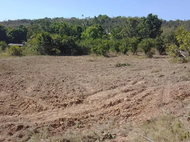 Imagem 5: Pra Vender Rápido