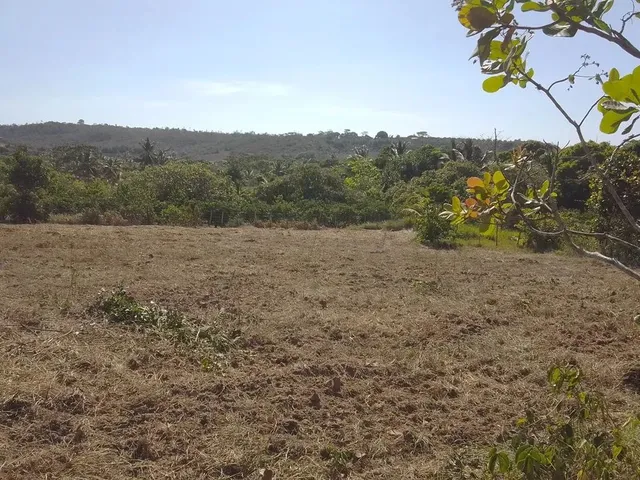 Imagem 7: Pra Vender Rápido