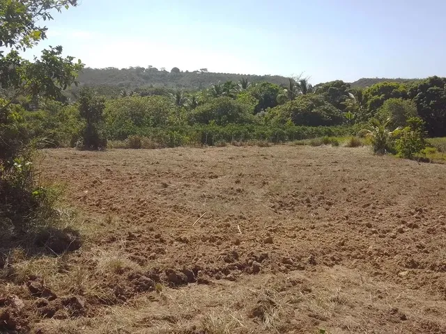 Imagem 11: Pra Vender Rápido