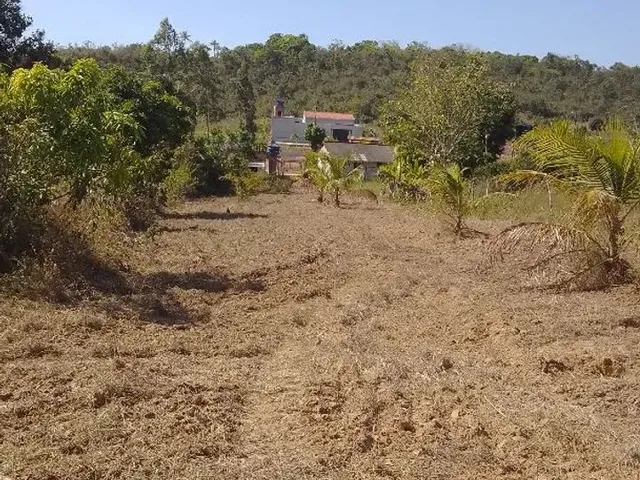 Imagem 13: Pra Vender Rápido