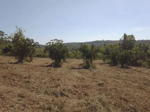 Imagem 15: Pra Vender Rápido