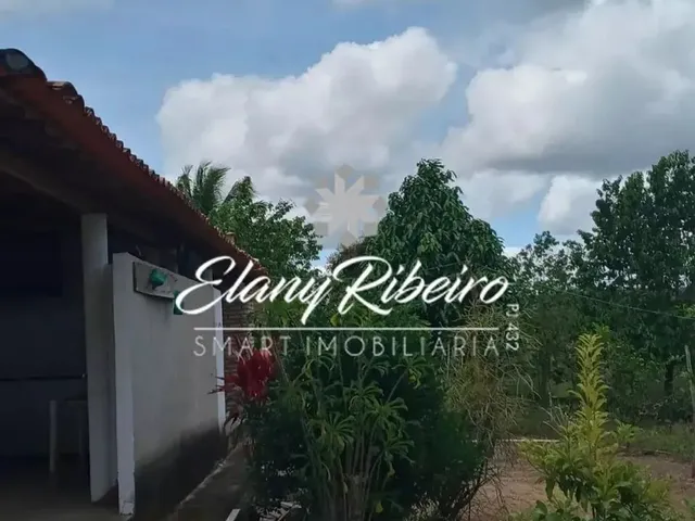 Imagem 15: Chácara no Município de Salgado