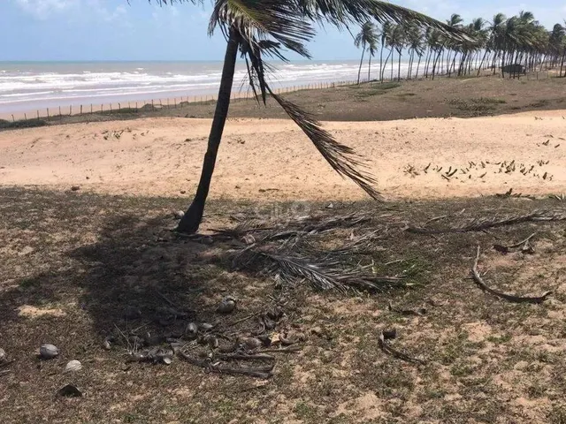 Imagem: Oportunidade Excelente Área na Barra dos