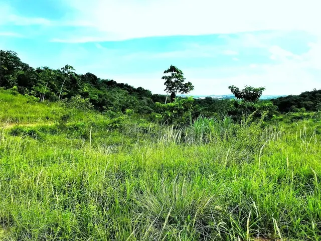 Imagem: Fazenda de 280 Tarefas - Siriri