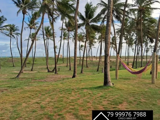 Imagem 12: Villaredo Barra - Lote C/ 200M²