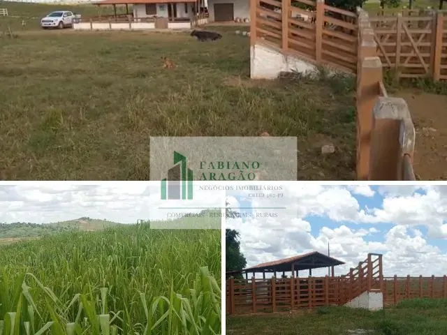 Imagem: Vendo Fazenda de 385 Tarefas em Dores/Se