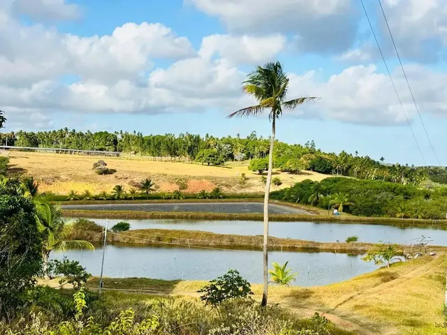 Imagem: Imóvel para Venda com 107000 Metros Quadrados