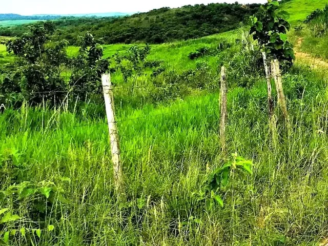 Imagem: Fazenda de 280 Tarefas pra Fazer