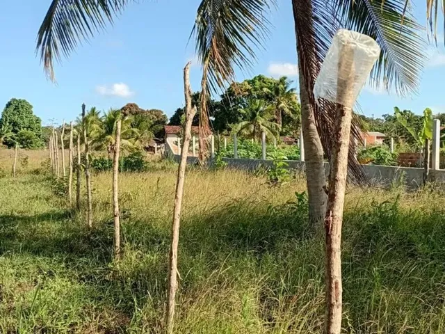 Imagem: Terreno a Venda