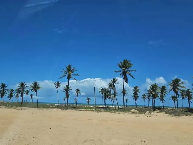 Imagem: Excelente Lote de Esquina - Mares do Malui