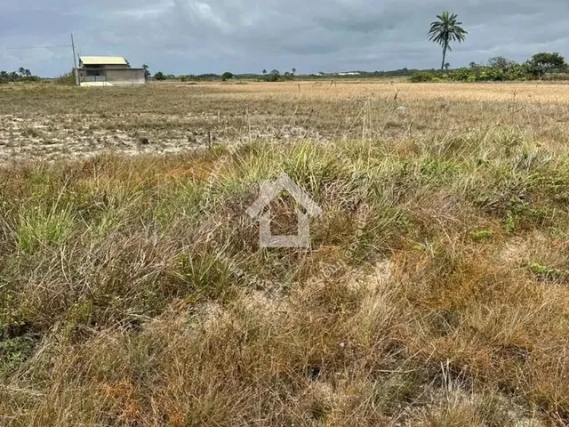 Imagem: Lote À Venda na Caueira