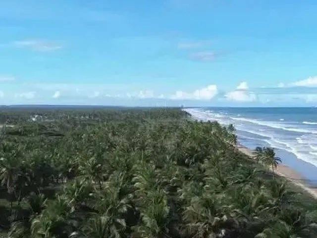 Imagem 6: Lote Quitado com Um Excelente Preço - Sunset Beach