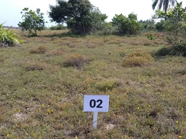 Imagem: Imóvel para Venda com 300 Metros Quadrados