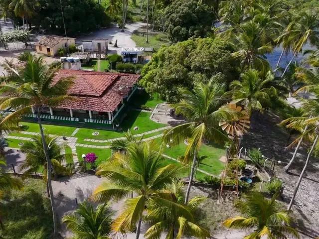 Imagem: Propriedade com 160 Tarefas a Venda no Povoado