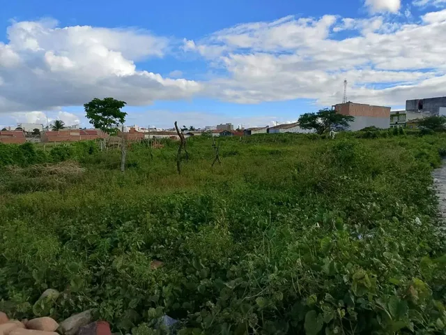 Imagem: Vendo Lote no Mamede Paes Mendonça - Itabaiana/Se