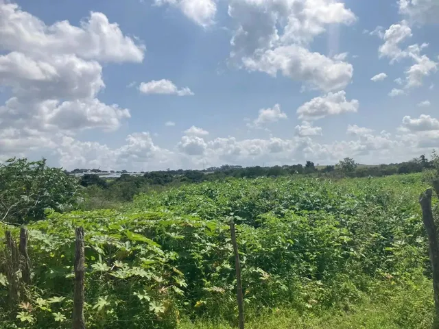Imagem: Terreno em Itabaiana - Povoado Dedenzeiro