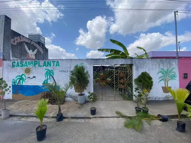 Imagem: Terreno em Itabaiana - Centro