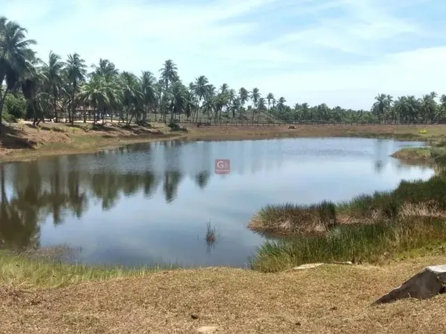 Imagem 4: Lote no Thai Residence