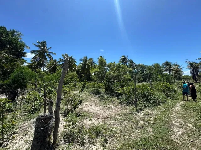 Imagem: Lotes Disponíveis em Lagoa Redonda