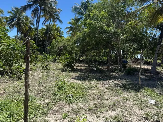 Imagem 3: Lotes Disponíveis em Lagoa Redonda