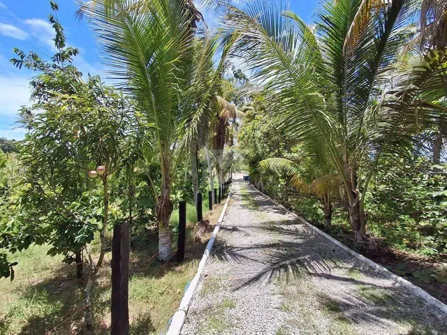 Imagem 10: Sítio para Venda no Povoado Carlos Torres, Salgado, Sergipe