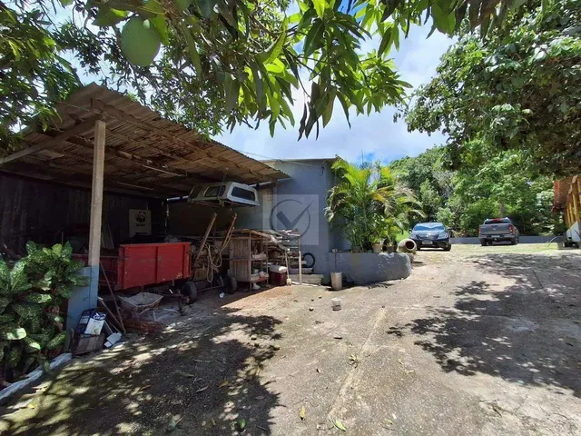 Imagem 3: Sítio para Venda no Povoado Carlos Torres, Salgado, Sergipe